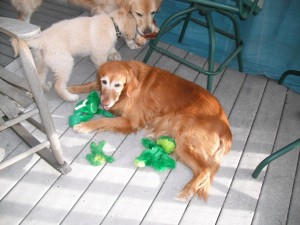 Chloe hording the green toys